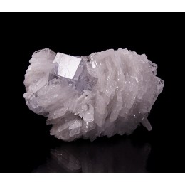 Fluorite on Baryte Emilio Mine - Asturias M04658
